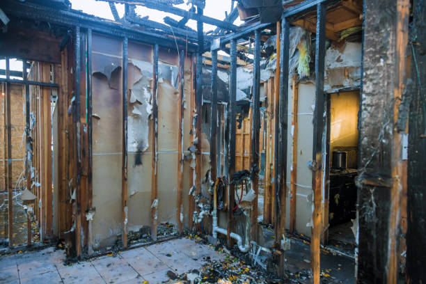 Professional Smoke Damage Removal technician working in Shawano, WI
